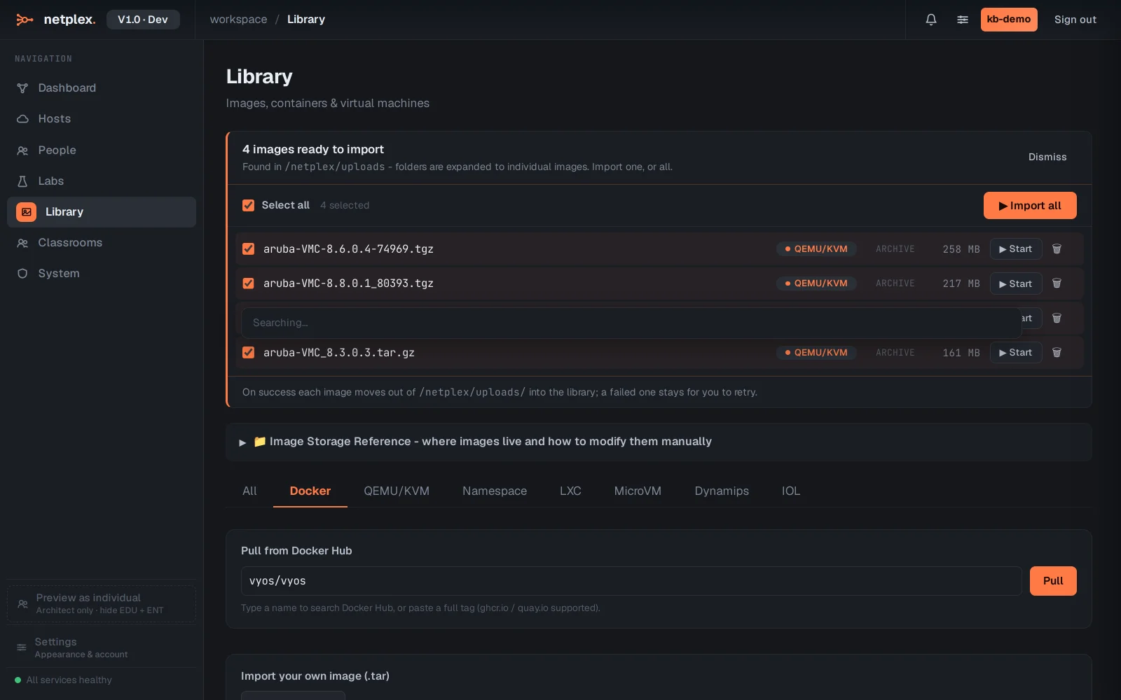 Step 1: How to run VyOS in netplex