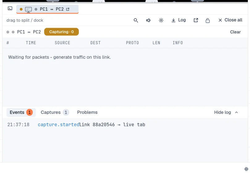 Step 3: Capture packets on a link