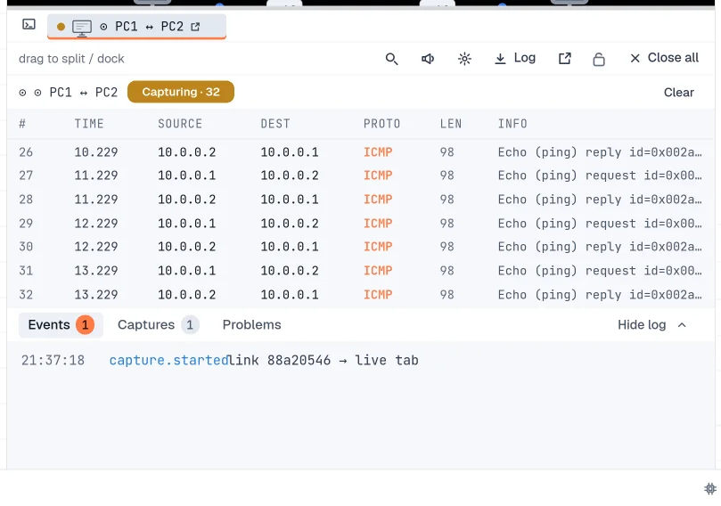 Step 4: Capture packets on a link