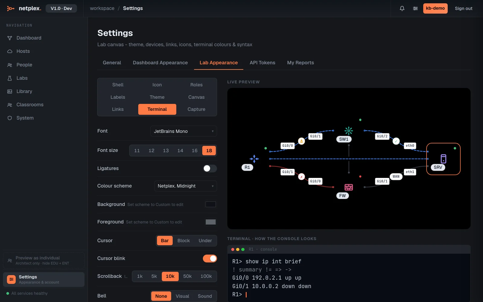 Step 2: Themes and terminal colours