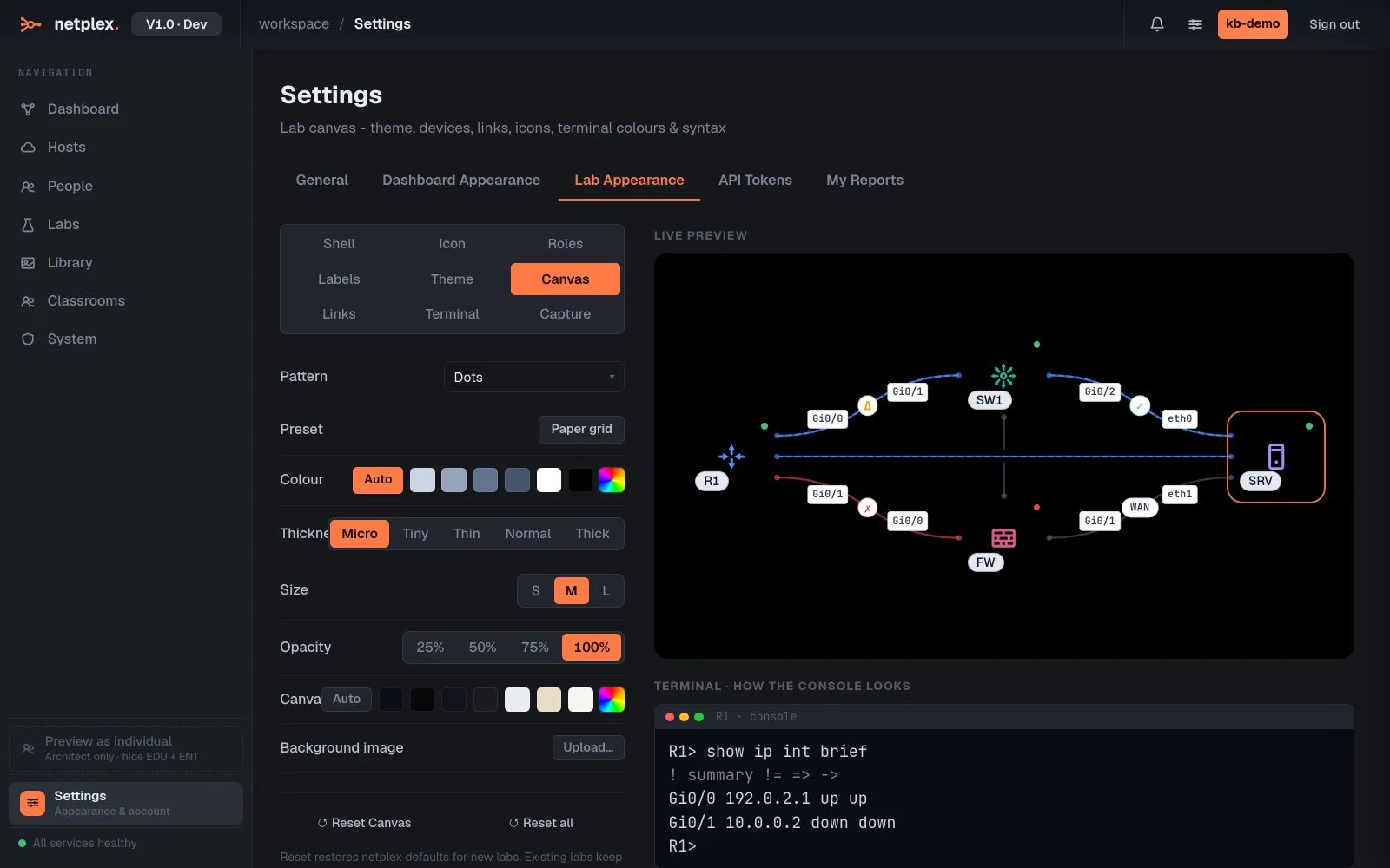 Step 3: Themes and terminal colours